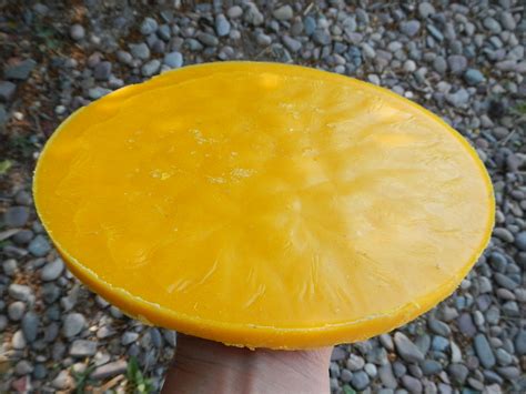 How to Render Beeswax from Honeycomb - Montana Homesteader