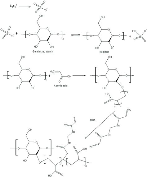 Mechanism Of The Crosslinking Reaction Of Starch And Acrylic Acid With