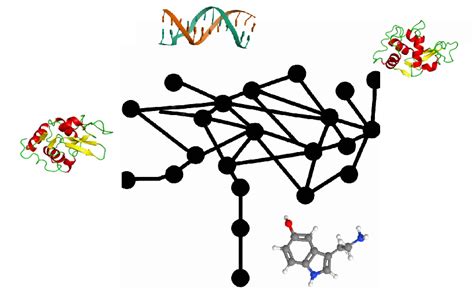 New Ai Method For Protein Structure Prediction Handles All Kinds Of