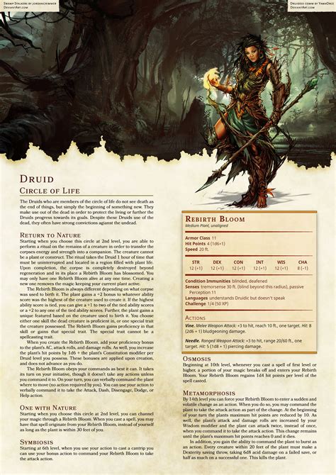 Arilianis Class Options Dungeons And Dragons Classes Dungeons And