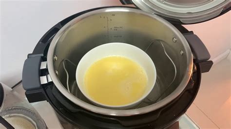 Instant Pot How to Steam Egg – Easy Instant Pot Recipes