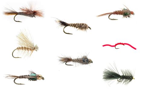 Trout Basics Fly Selection | Trident Fly Fishing