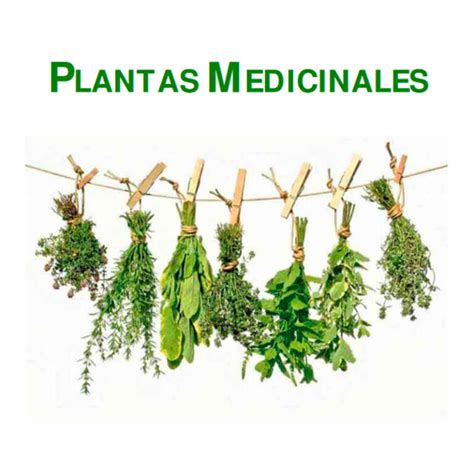 Libro De Las Plantas Medicinales Digital Natutea