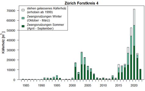 Simulation Der Buchdrucker Entwicklung In Der Schweiz Waldwissen Net