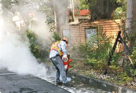 高雄境外移入登革熱 半月連3例｜感染科｜科別｜元氣網