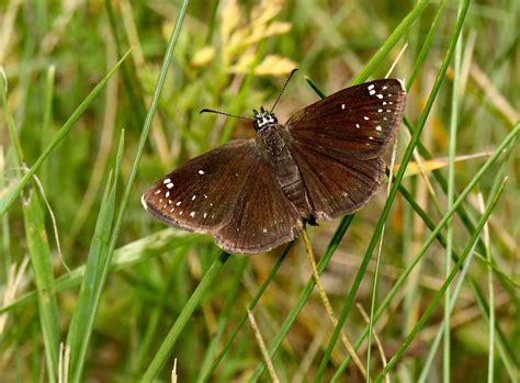 spot      spot stock  hd images