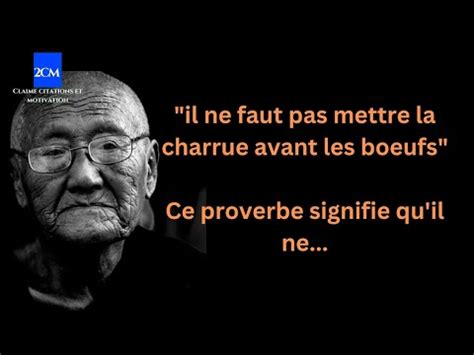 Les meilleurs Proverbes français et leur signification Pensées sages