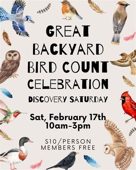 Great Backyard Bird Count Celebration Elachee Ready Set Gwinnett