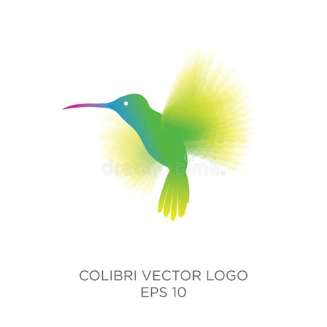 Hummingbird Vector Illustration Of Exotic Flying Colibri Bird Isolated