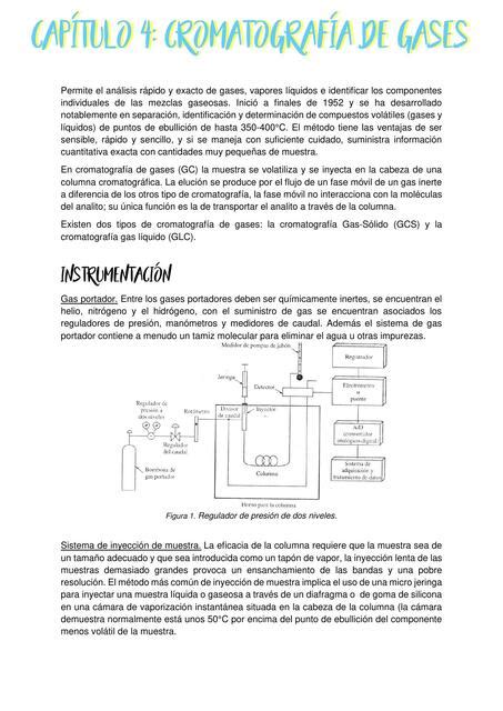 Técnicas Cromatográficas Chemnotes by DM uDocz