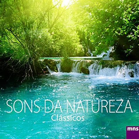 Amazon Music M Sica De Relaxamento Sons Da Natureza Cl Ssicos