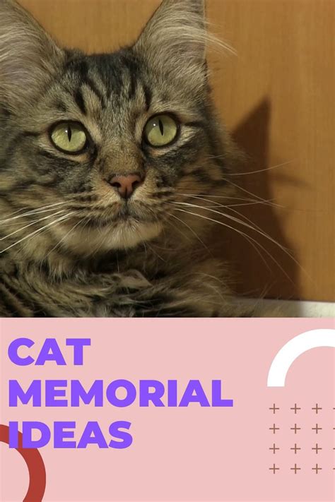 19+ Purr-fect Cat Memorial Ideas | Cat Gifts | Gifts for Cat Lovers ...