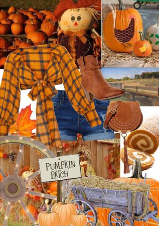 Pumpkin Patch Winners 2023 Collection And Ideas Shoplook