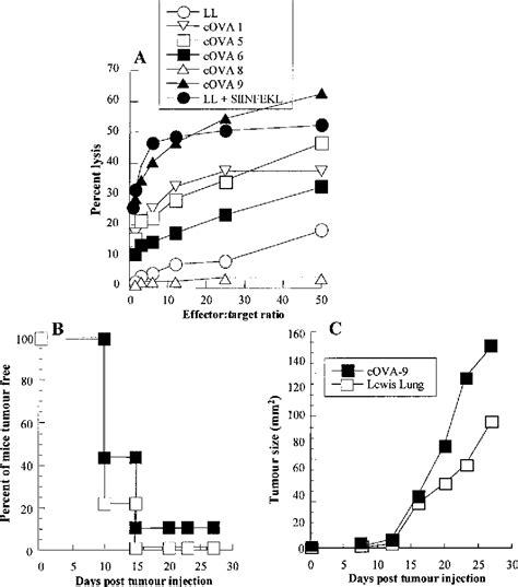 Figure From Tumor Progression Despite Efficient Tumor Antigen Cross