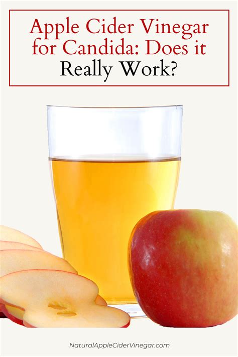 Can Apple Cider Vinegar Kill Candida At Lewis Ofarrell Blog