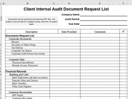 Internal Audit Report Template | Vitalics Internal Controls Simplified