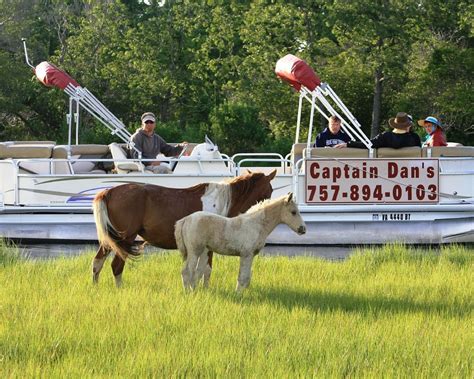 The 15 Best Things To Do In Chincoteague Island 2024 With Photos