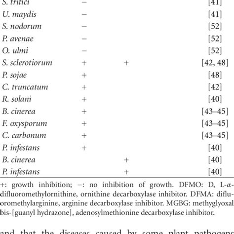 Polyamines Biosynthetic Pathway A Comparison Between Biosynthetic