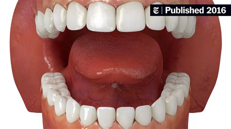 Surprisingly Little Evidence for the Accepted Wisdom About Teeth - The