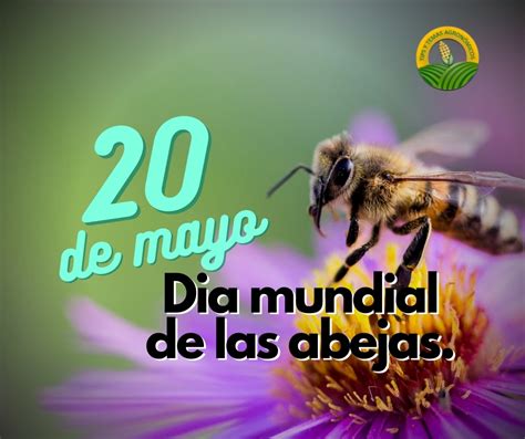 20 De Mayo Día Mundial De Las Abejas