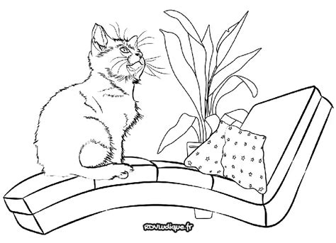 Coloriage Chat Dessin Chat A Imprimer 3 Rdvludique