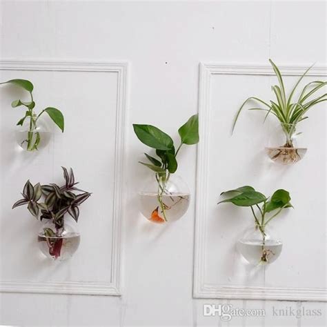 20 Collection of Air Plant Wall Art