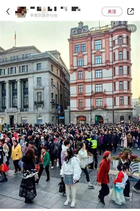 大年初二 有人凌晨就在排队 有景区海鸥被喂撑