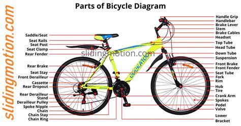 Complete Guide- 67 Parts of Bicycle: Names, Functions & Diagram