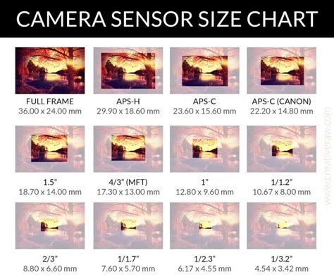 Camera Sensor Size Comparison Chart