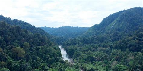 Bogani Nani Wartabone National Park — Gorontalo Geopark