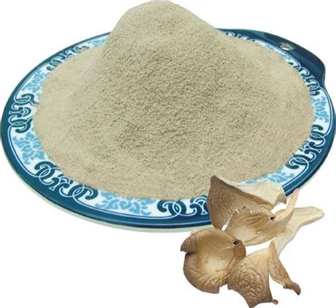 Olive Mushroom Powder 1 At Rs 800 Kilogram In Nashik ID 20799173312