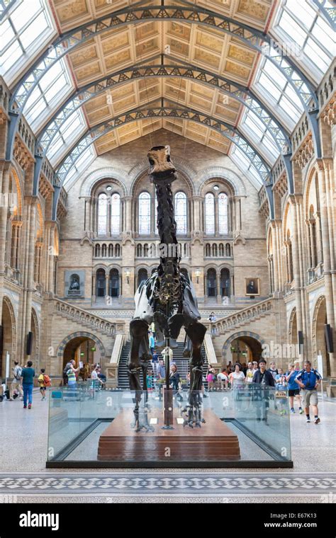 Great Entrance Hall Of The Natural History Museum London England