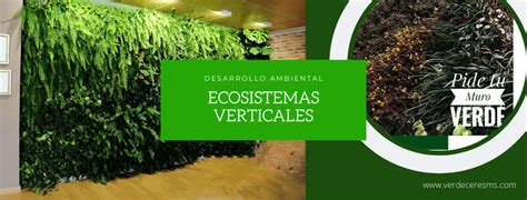 Ecosistemas Verticales O Muros Verdes Verdeceres Ms Sas