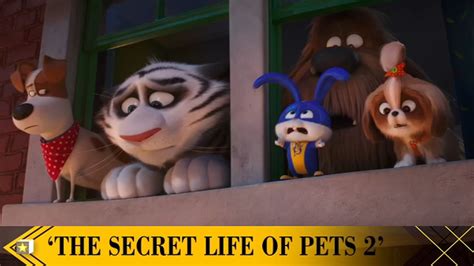 The Voices Behind Secret Life Of Pets 2 Youtube