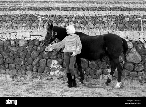 Concept De Mode Avec Cute Blonde Model Posing Dans La Campagne Avec Un Cheval Noir Et Portant