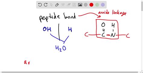 Solved Carbon Hydrogen And Oxygen From Sugar Molecules May Combine