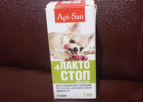 Лакто-Стоп для собак: инструкция и показания к применению, отзывы, цена