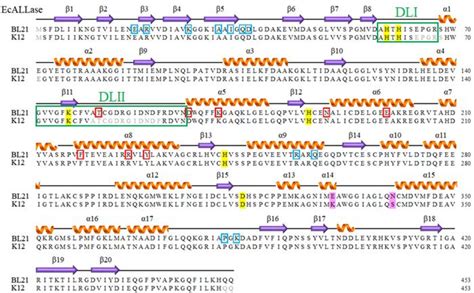 Figure From Crystal Structure Of Allantoinase From Escherichia Coli