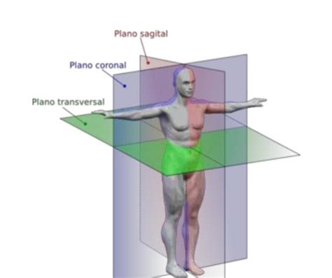 Qu Es Planimetr A Definici N Concepto Y Significado