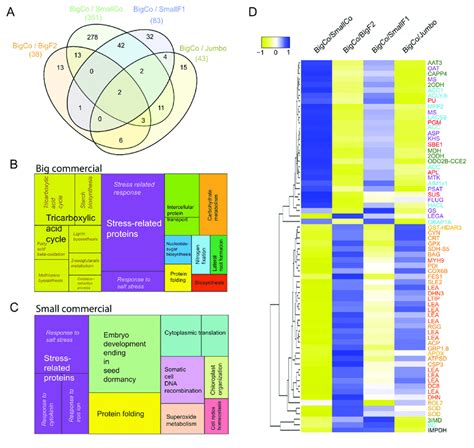 Functional Annotation Analysis Based Go Enrichment Of Biological Download Scientific Diagram