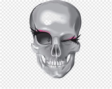 Skull Illustration Skull Human Skeleton Skull Human Skull Symbolism