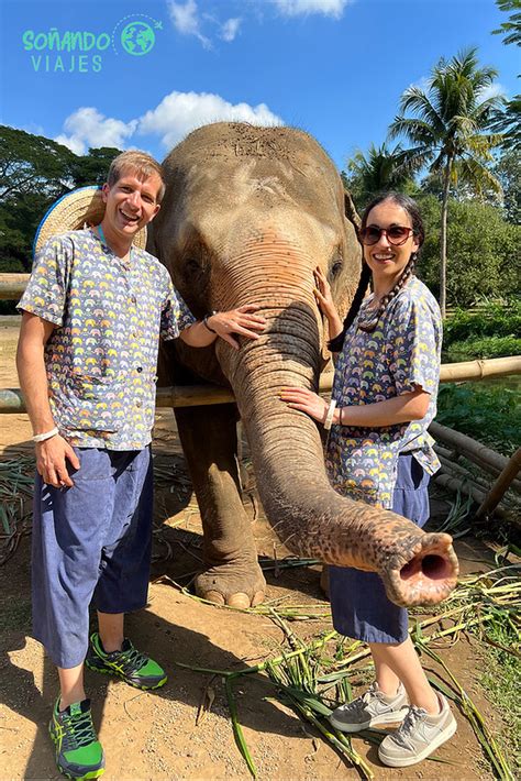 Qu Santuario De Elefantes Visitar En Chiang Mai Nuestra Opini N Sobre