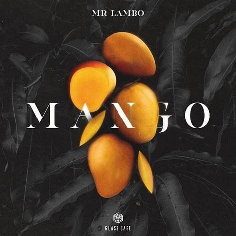 Mr Lambo Mango Lyrics Genius Lyrics