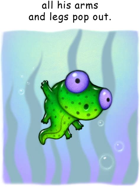 Will Terry Childrens Book Illustrator Pollywog To Frog