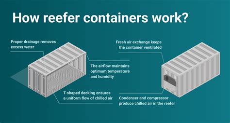 Reefer containers meaning and how they work: Best guide