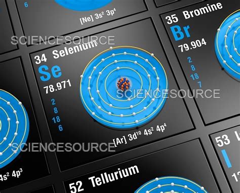 Selenium Atomic Structure Stock Image Science Source Images