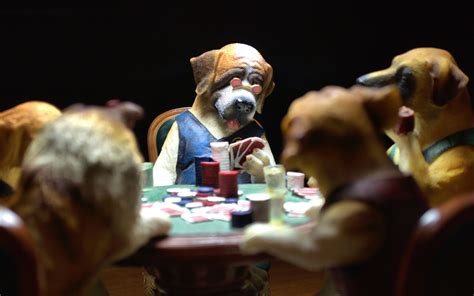 Dogs Playing Poker Wallpaper - WallpaperSafari