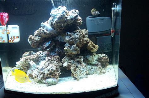 Nano Tank Shots Nano Reef Community