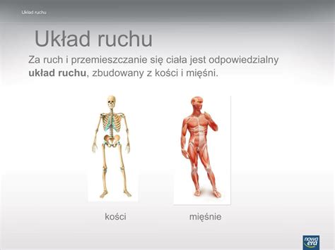 PPT Układ ruchu PowerPoint Presentation free download ID 4308782