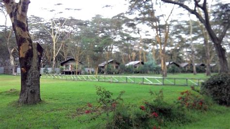 Lake Naivasha Crescent Camp Updated Prices Campground Reviews